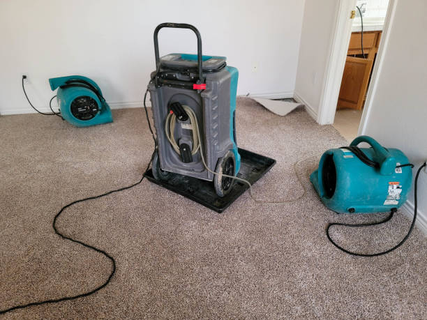 Best Mold removal after water damage  in Galt, CA